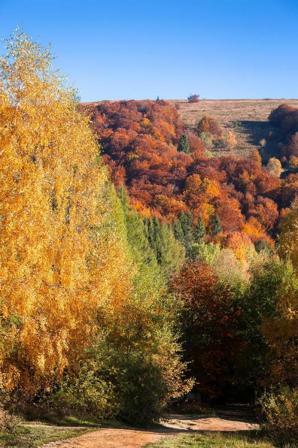 Domek Nad Sanem Zagorz Extérieur photo